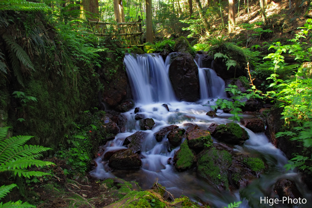 若狭散策1　瓜割りの滝