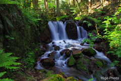 若狭散策1　瓜割りの滝