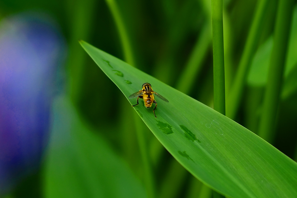お尻がピクピク動いてました