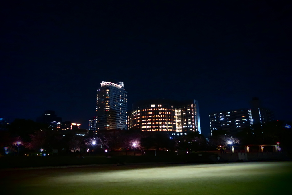 公園の夜
