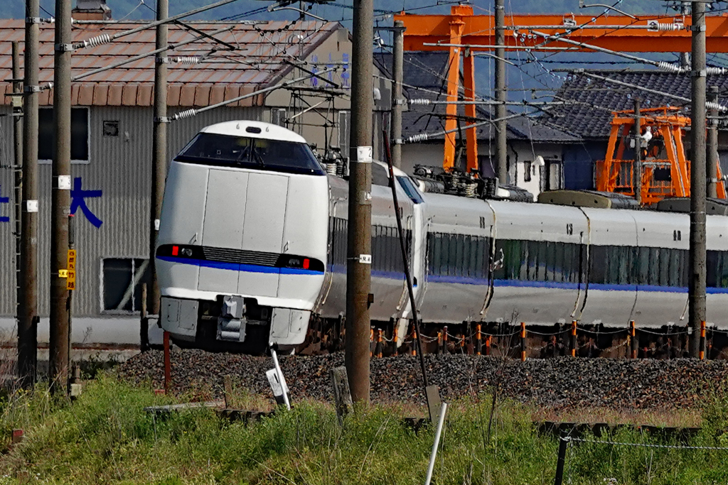 特急しらさぎ