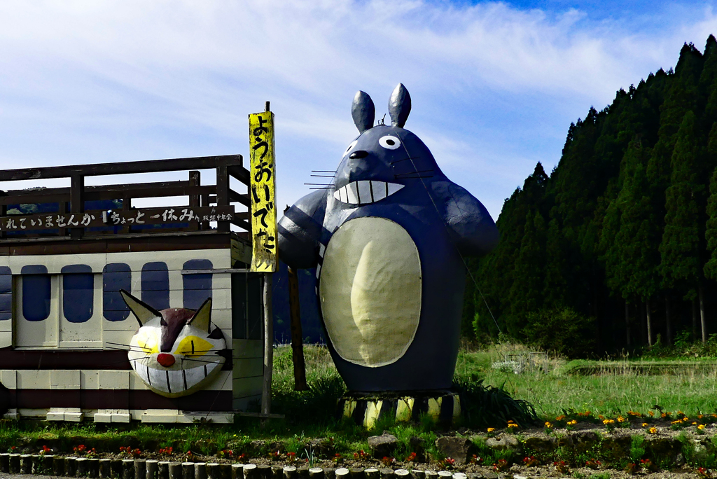 となり村のトトロ