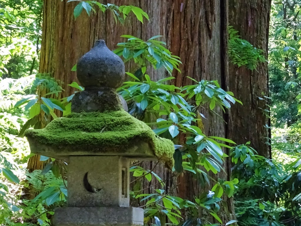 今度は一眼片手に散歩に来よう