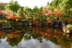 朝陽に映る