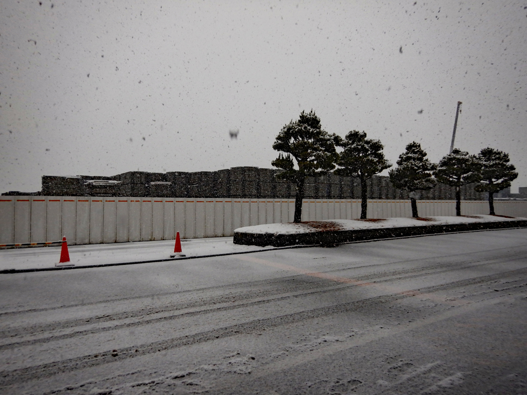 地元初雪。今年は手ごわそう