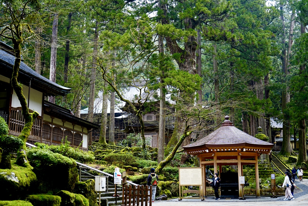 永平寺、人も多く