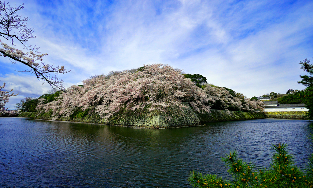 彦根城の空