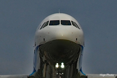 マスクとサングラスは機長と副機長