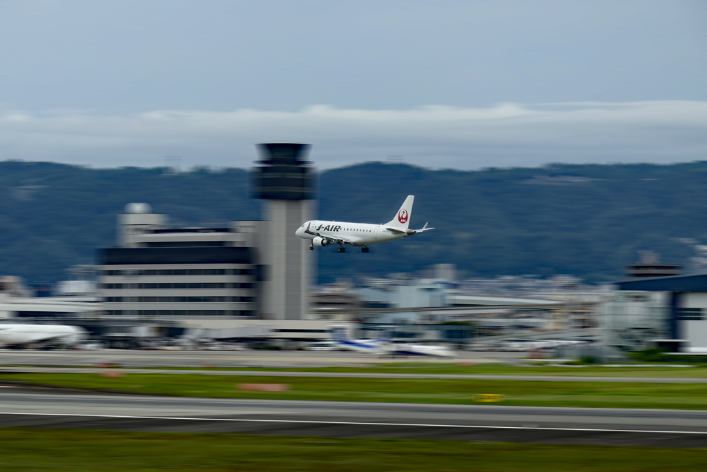 今日は600回シャッター切りました