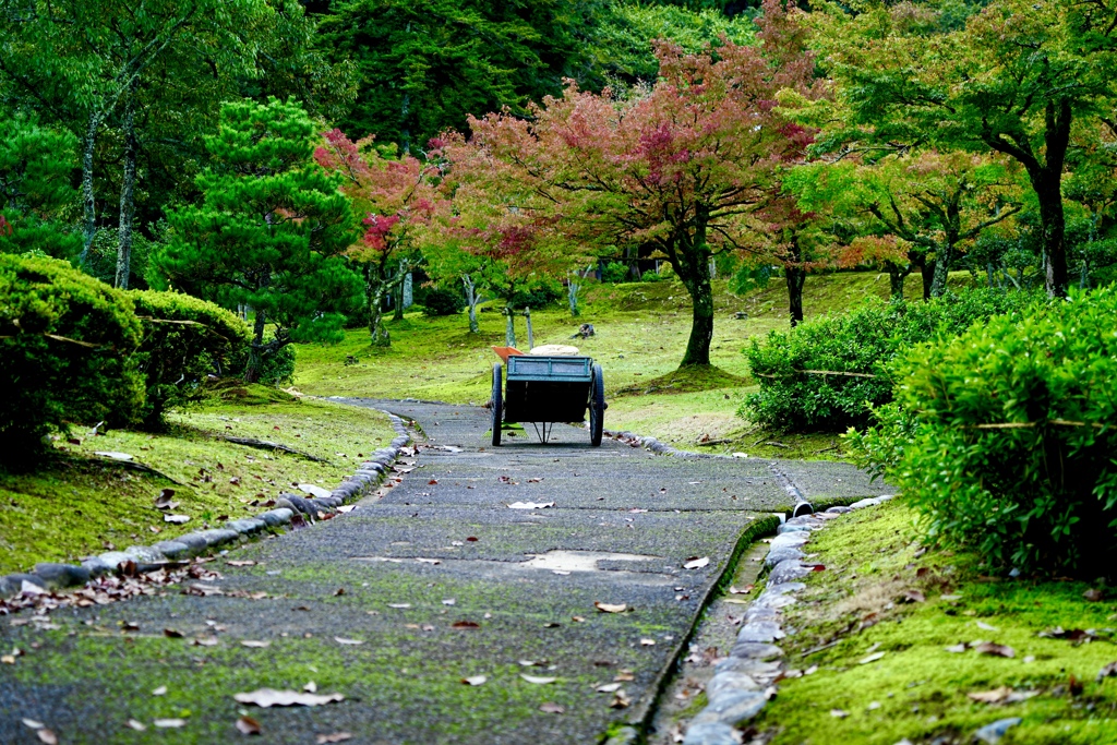 リヤカーは公園整備