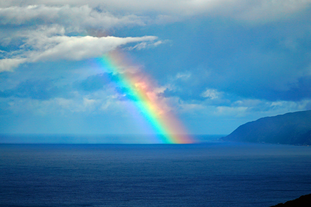 虹は駆け上がった