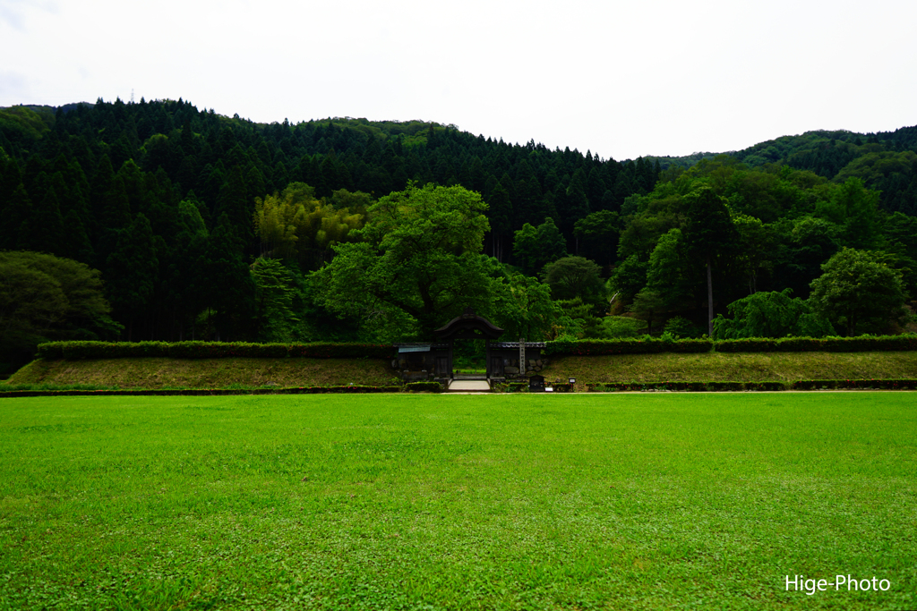 緑の朝倉遺跡