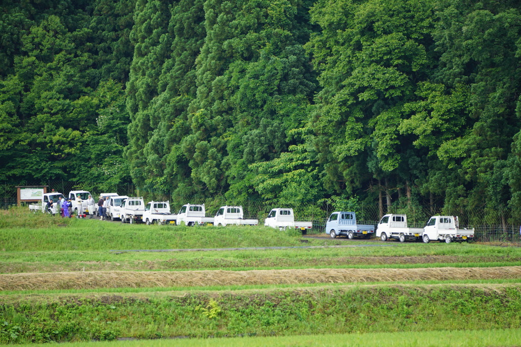 山のメンテ。朝8時集合～！