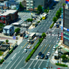 横断歩道