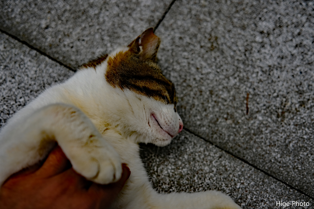 絶賛うっとり中～