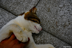 絶賛うっとり中～