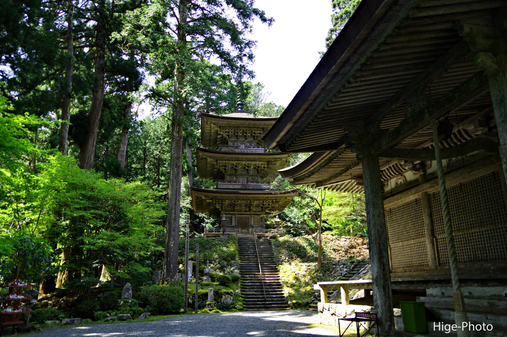若狭散策10　明通寺・境内