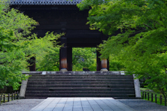 8月31日南禅寺。静かな空間