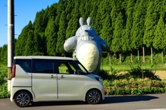 長年のトトロのバス停
