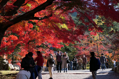 お天気に恵まれて