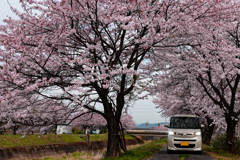 記念の一枚