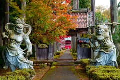 お寺も色づき