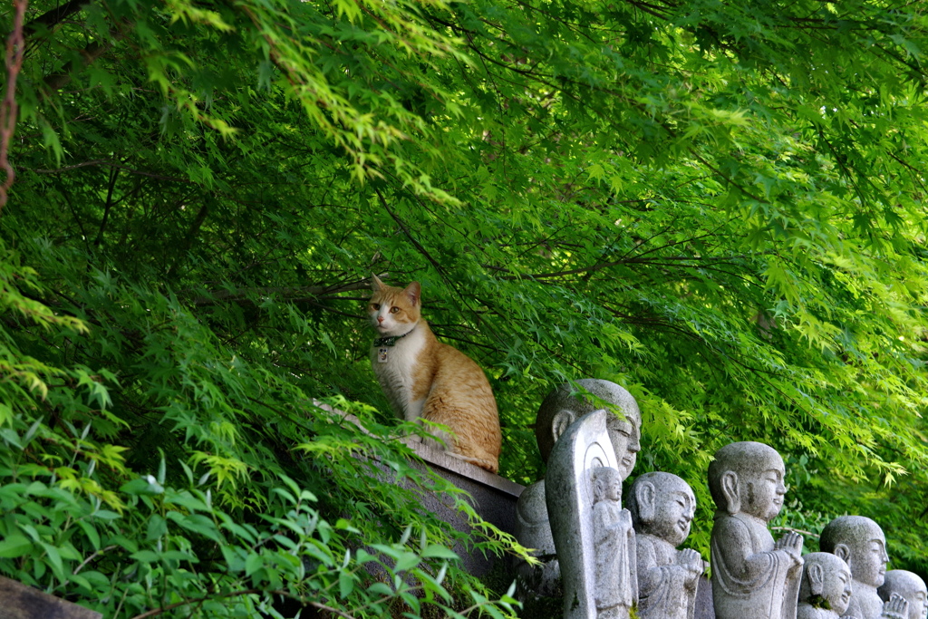 お地蔵さん