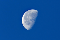 6月24日。朝のお月さん