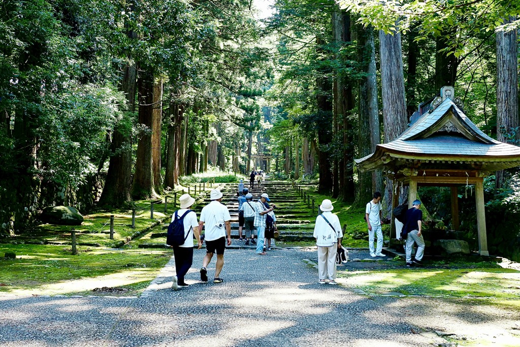 観光客、多いです