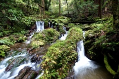 冷え冷えの流れ