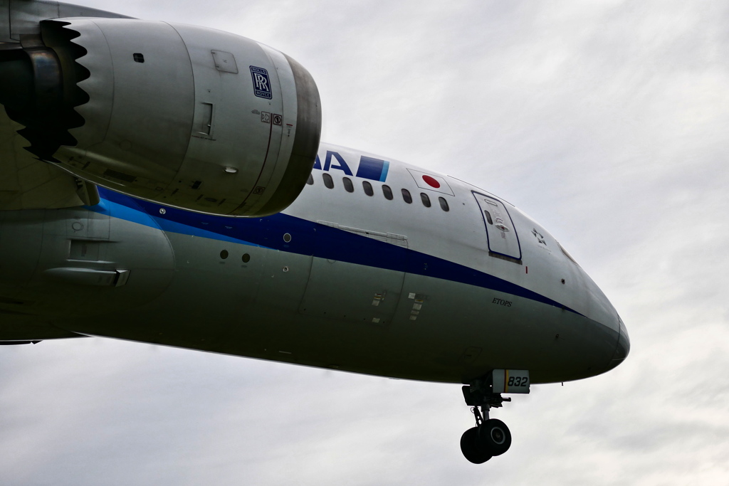 飛行機