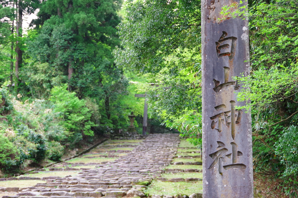ペンタックスは緑が綺麗