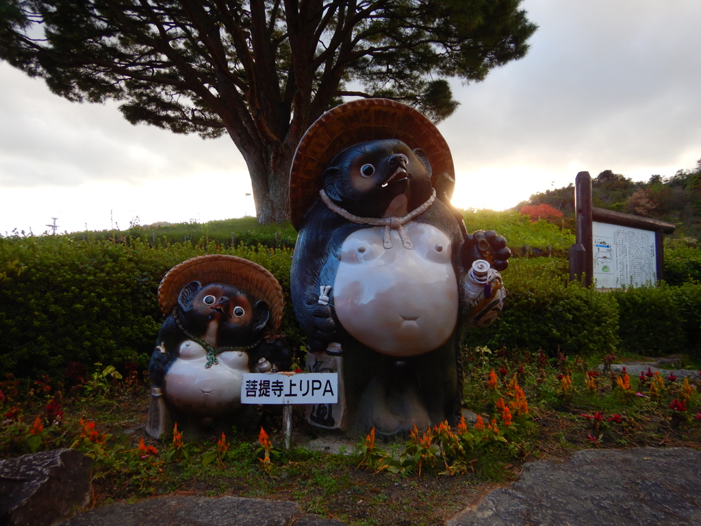 菩提寺PA上りでした