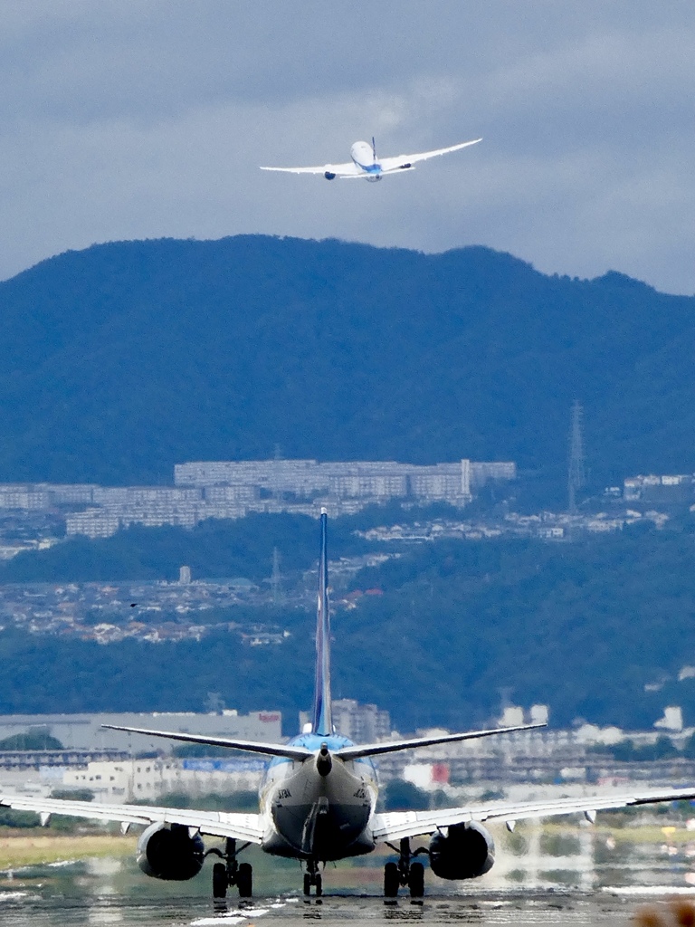 次、飛びます