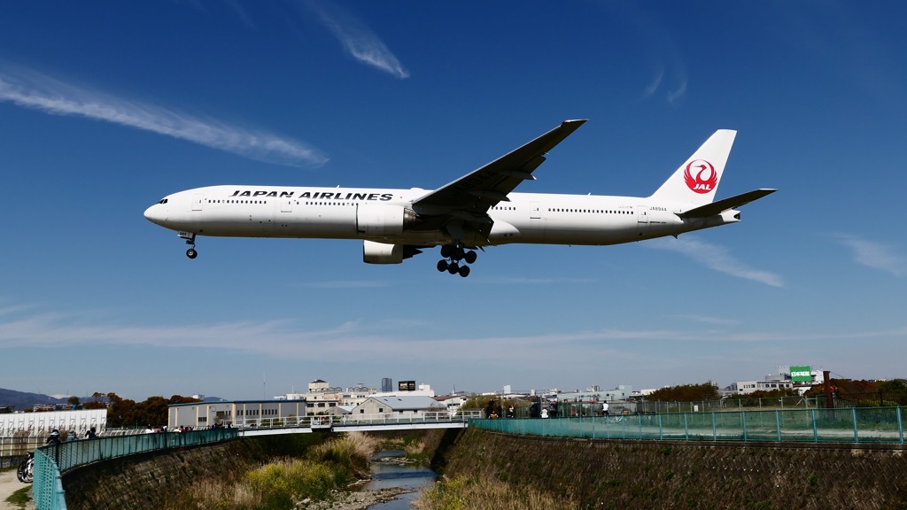 大喜び