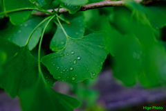 雨の日だから2