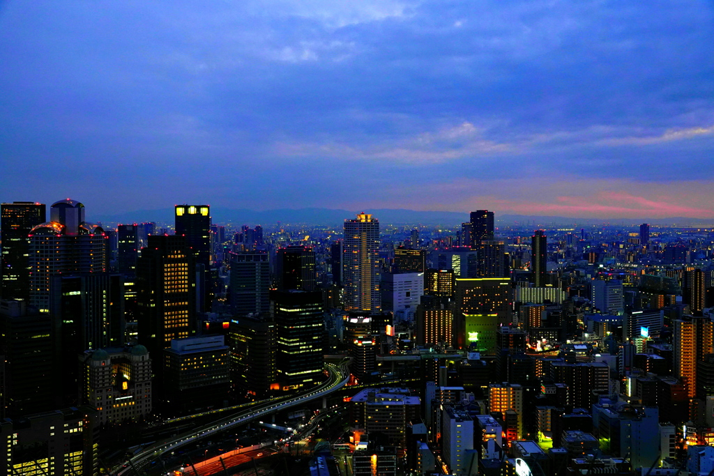街の灯りがとても綺麗ね。大阪