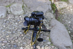 一番の働き者・Fz300