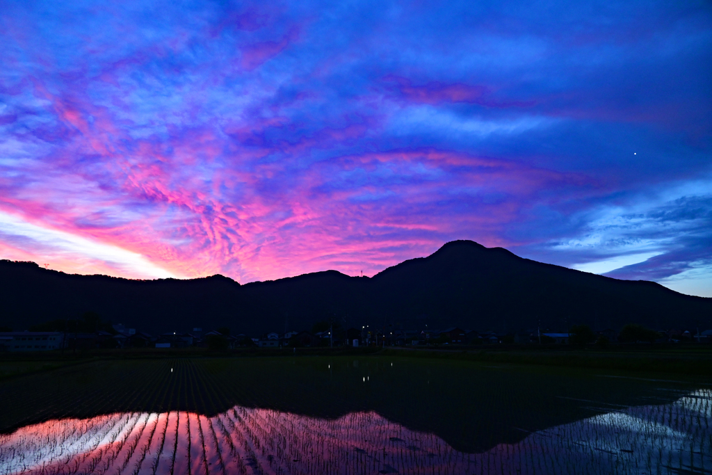 雨上りの朝