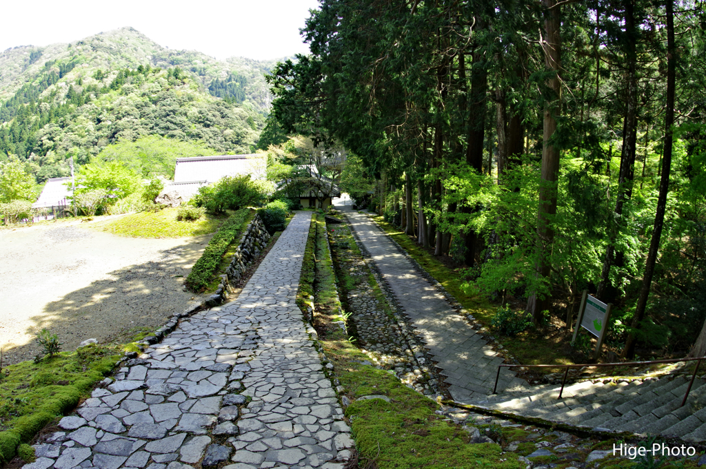 若狭散策7　明通寺・参道