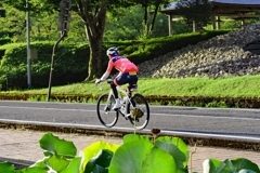 土日の朝はサイクリスト