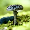 秋の味覚、食べてはいけません！（9/20T）