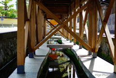 百選名水。野菜洗い場は大野