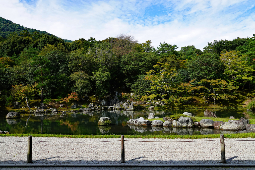 天龍寺の庭