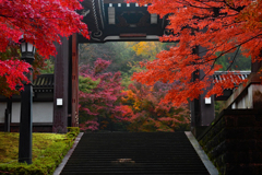 裏門は赤