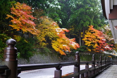 足跡の無い風景