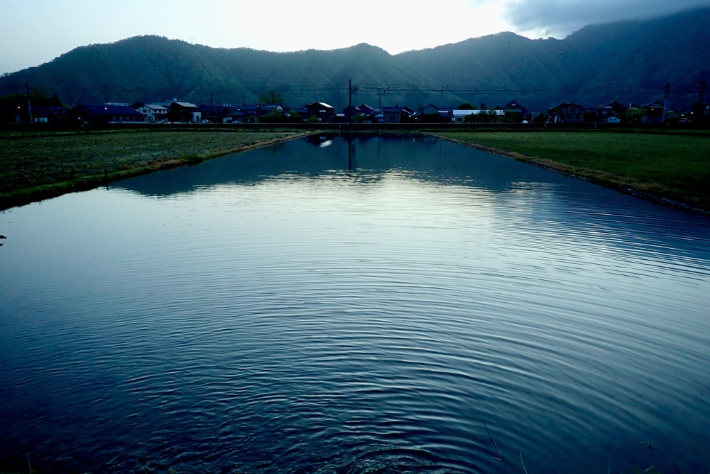 田んぼの水張りが始まった