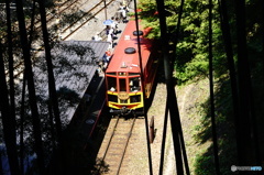 嵐山、竹林