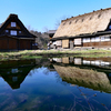 水面はコントラスト高め
