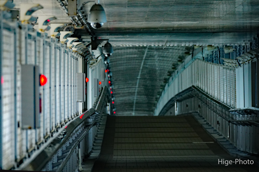 歩道橋…非常灯